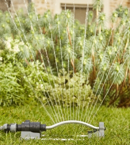 arrosage plante jardin