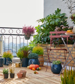 Plantations terrasse