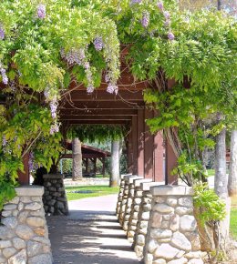 Décorer sa tonnelle