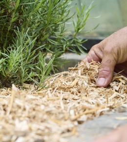 Préparer votre sol pour réduire les arrosages au printemps prochain : Astuces et techniques