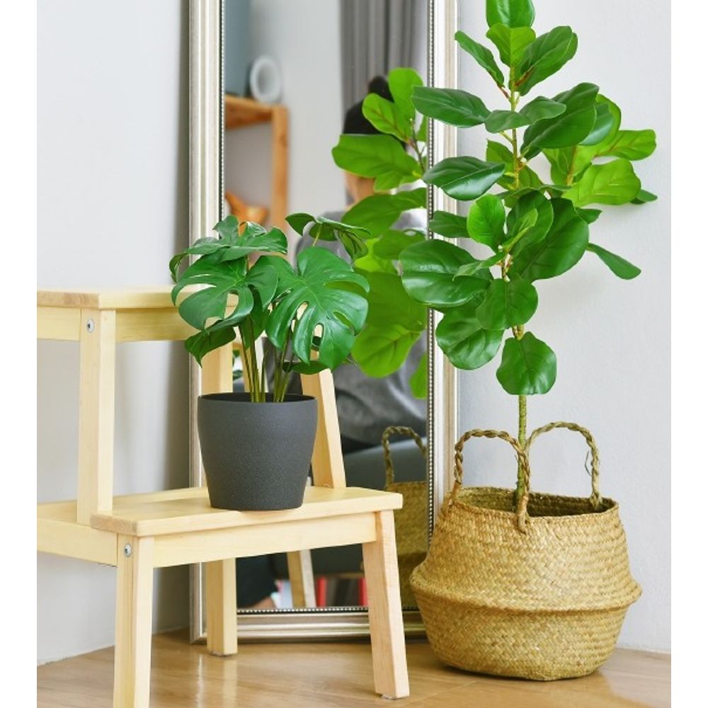 Pourquoi choisir des plantes artificielles pour la maison ? 