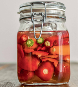 vignette conservation recoltes