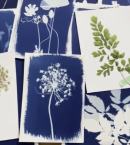 vignette cyanotype