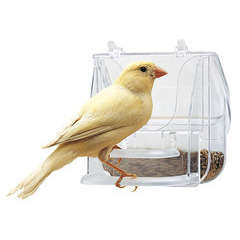 IKayas Mangeoire à oiseaux avec ventouses puissantes pour petits oiseaux et  10 points adhésifs amovibles : : Animalerie