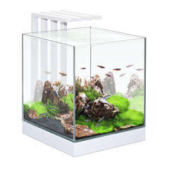 Aquarium Nano Nexus, blanc - 25 litres Ciano