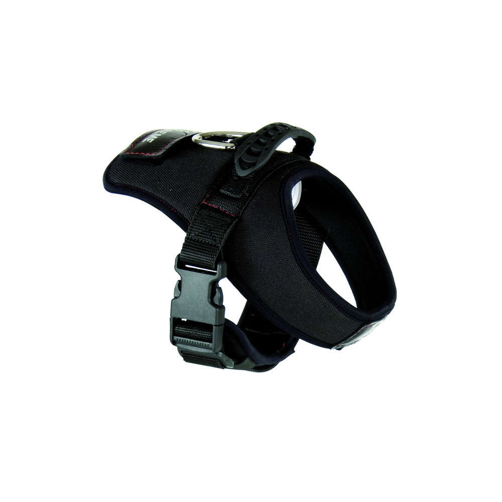 Harnais X Treme Mini Pour Chien Tour De Poitrail 35 45 Cm Truffaut