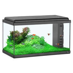 Aquarium en verre, noir : L.60 x P.30 x H.34 cm - 61 litres