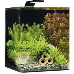 Aquarium équipé Qubiq 30 Pro blanc - 30L : Aquariums et meubles SUPERFISH  animalerie - botanic®