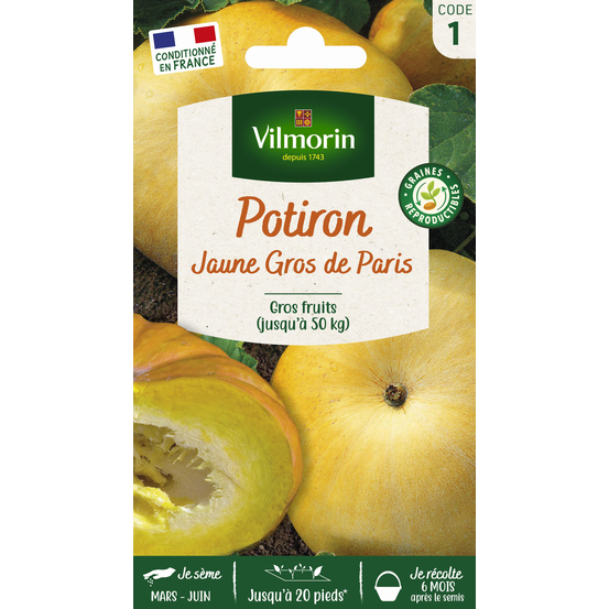 Potiron jaune Gros de Paris - En sachet