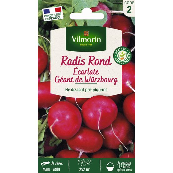 Radis rond Eclarlate geant de Wüzbourg - En sachet