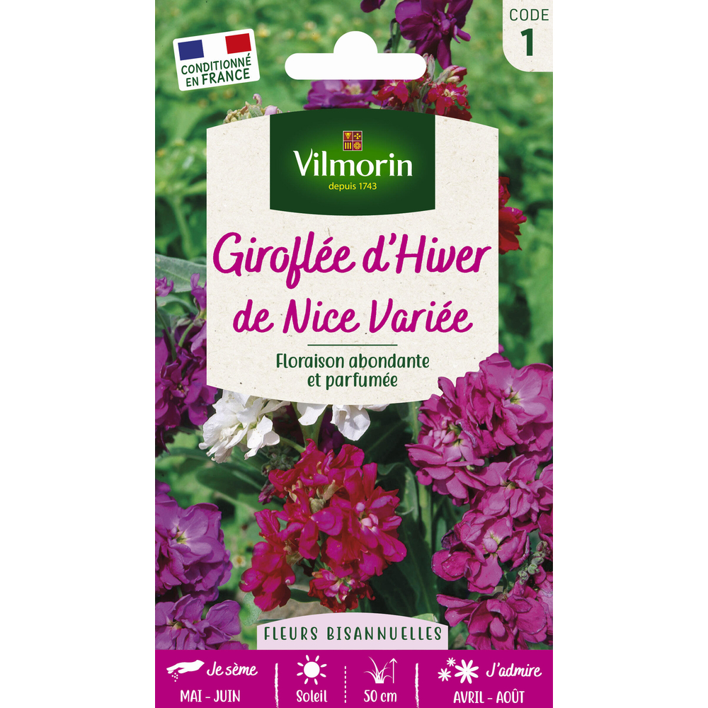Giroflée d'hiver de Nice variée : en sachet