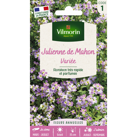 Julienne de Mahon variée : en sachet