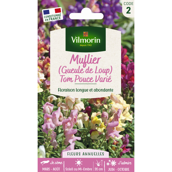 Muflier Tom Pouce varié - En sachet