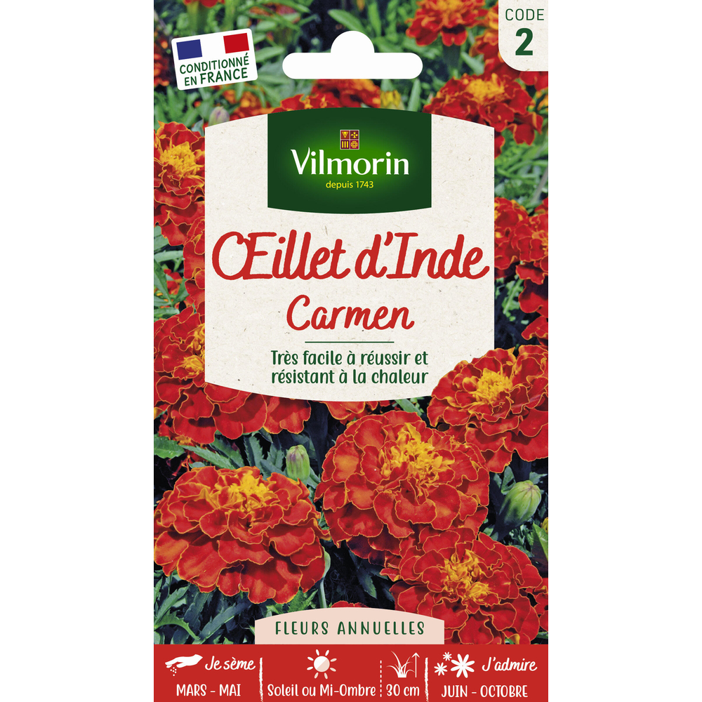 Oeillet D inde Carmen : En Sachet.