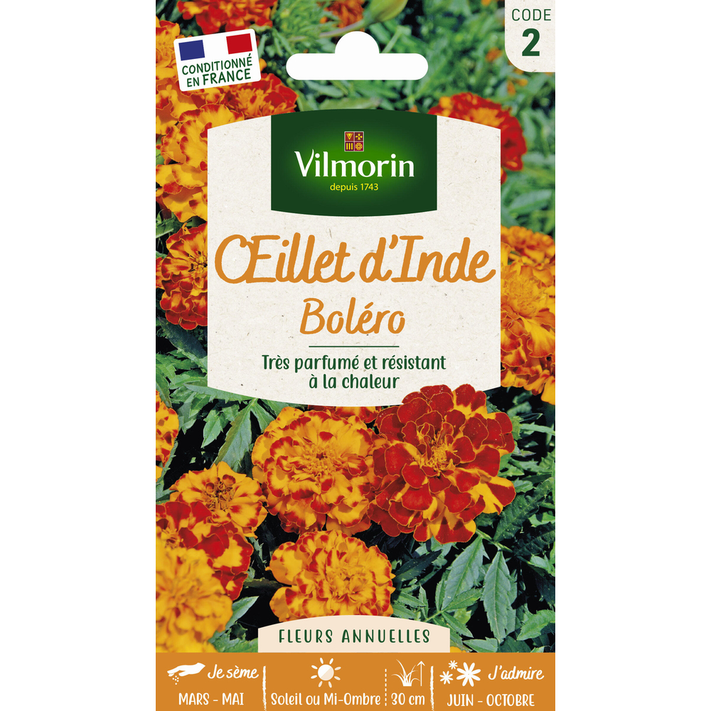 Œillet d'inde Bolero : en sachet