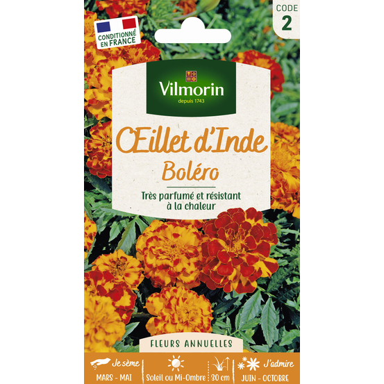 Œillet d'inde Bolero : en sachet