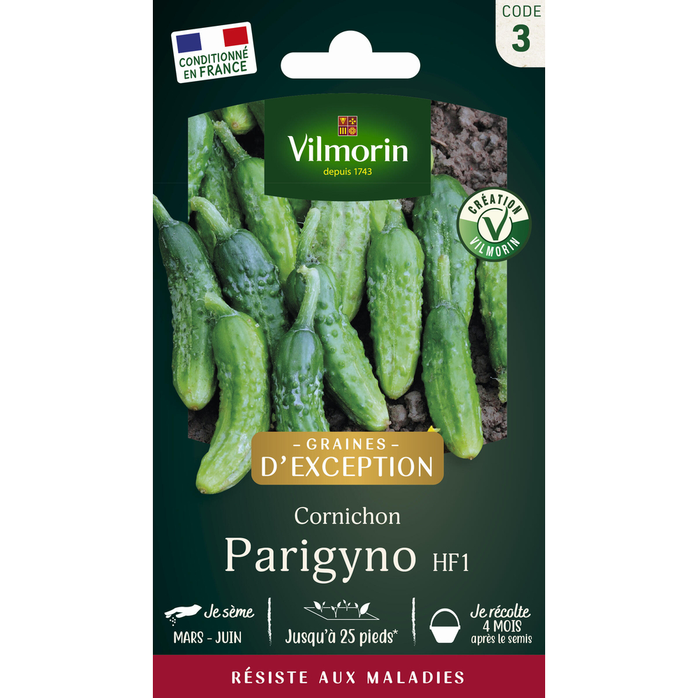 Cornichon Parigyno hybride F1 - En sachet