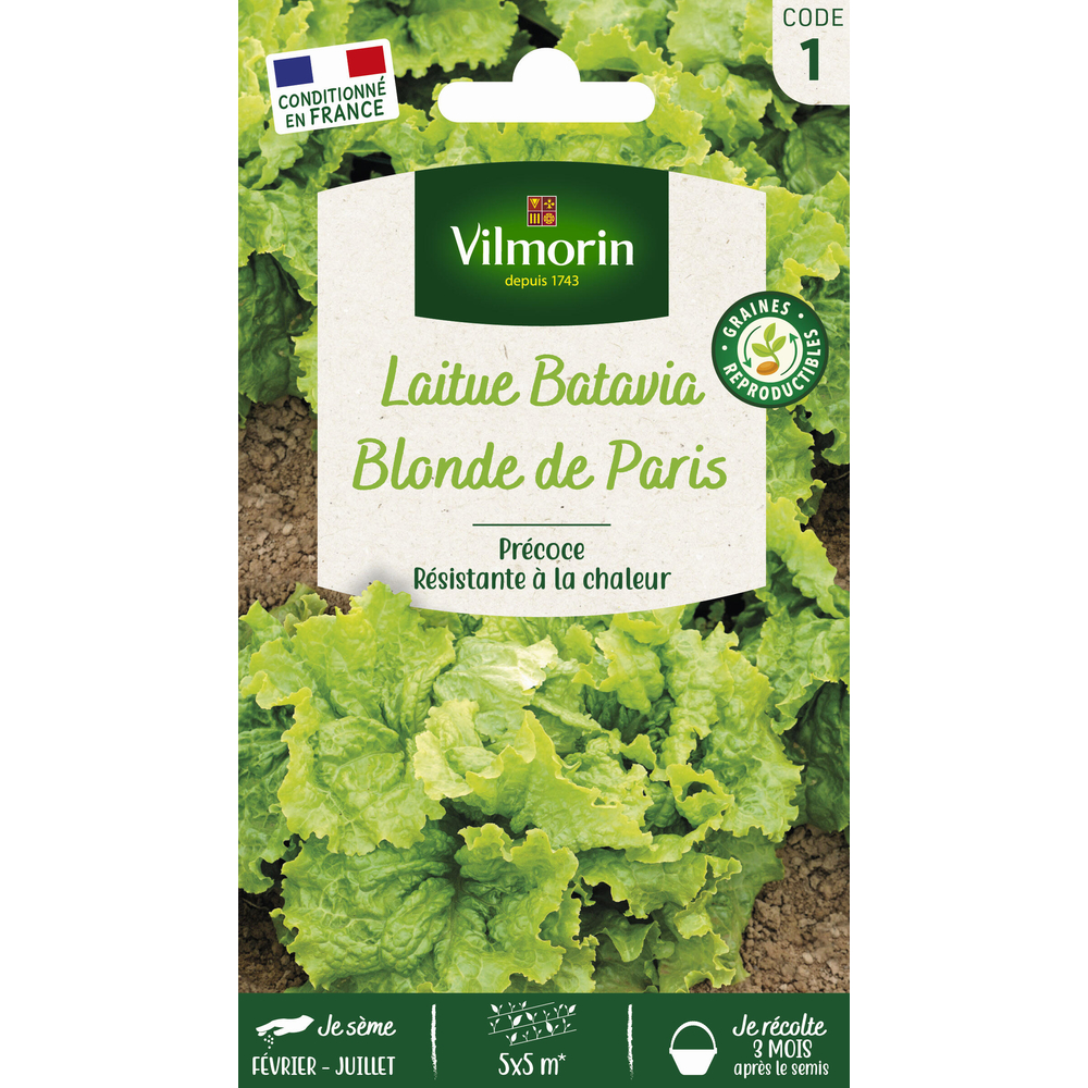 Laitue Batavia Blonde de Paris - En sachet