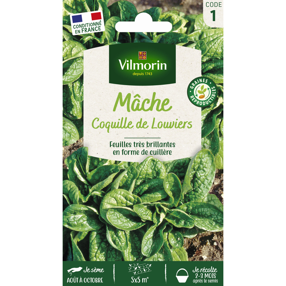 Mache verte de Louviers - En sachet