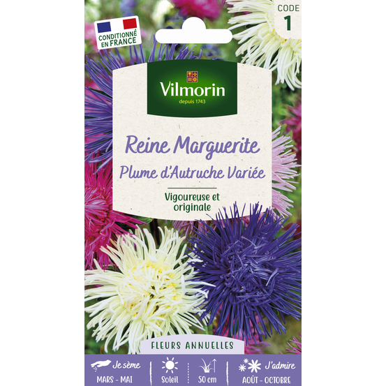 Reine-marguerite Plume d'autruche variée : en sachet