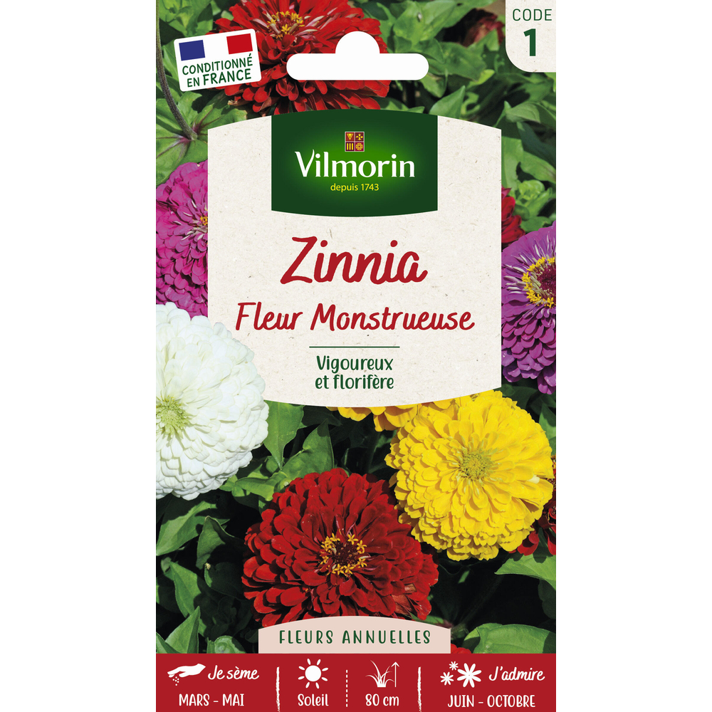 Zinnia à fleur monstrueuse varié : en sachet
