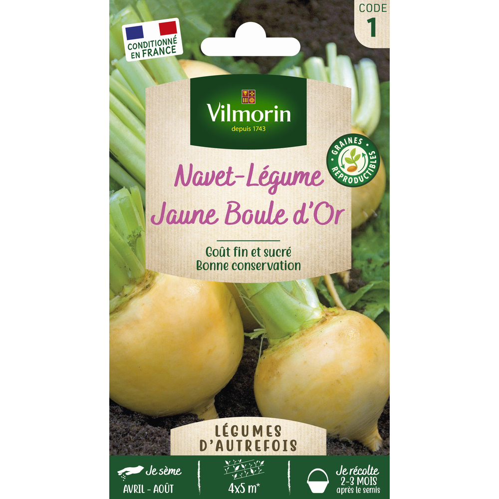 Navet jaune Boule d'Or