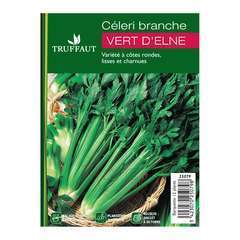Plants de céleris branche 'Delne' : barquette de 12 plants