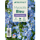 Myosotis bleu : barquette de 10 plants