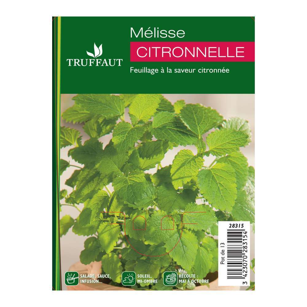 MÃ©lisse : Ctr 1 litre