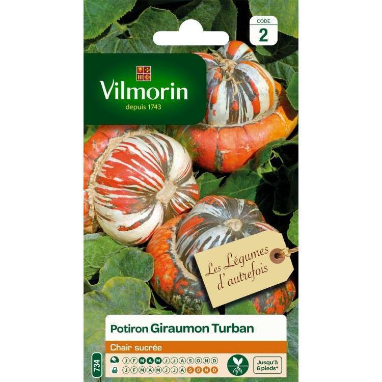 Graines de courge Turban en sachet