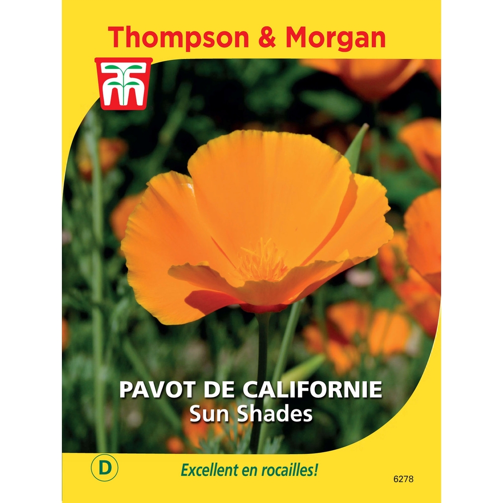 Pavot de cal. mexicana sun shades