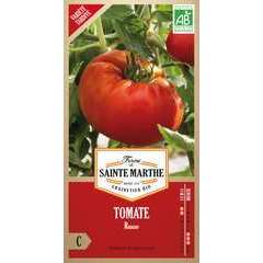 Graines de tomate russe Bio en sachet