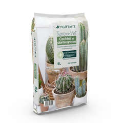 Terreau pour Cactus et plantes Succulentes (500 ml) 