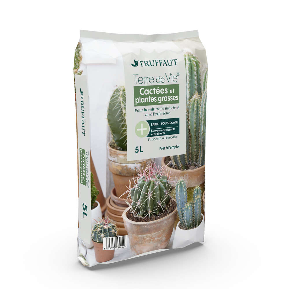 Terreau pour cactus et plantes grasses - Fafard – Végétal Design Qc