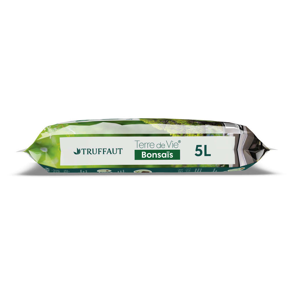 bambus tinktur Bambus Tinktur main image 0