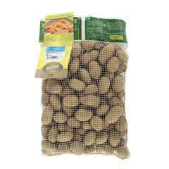 Plants de pommes de terre 'Samba' en sac - 3 kg