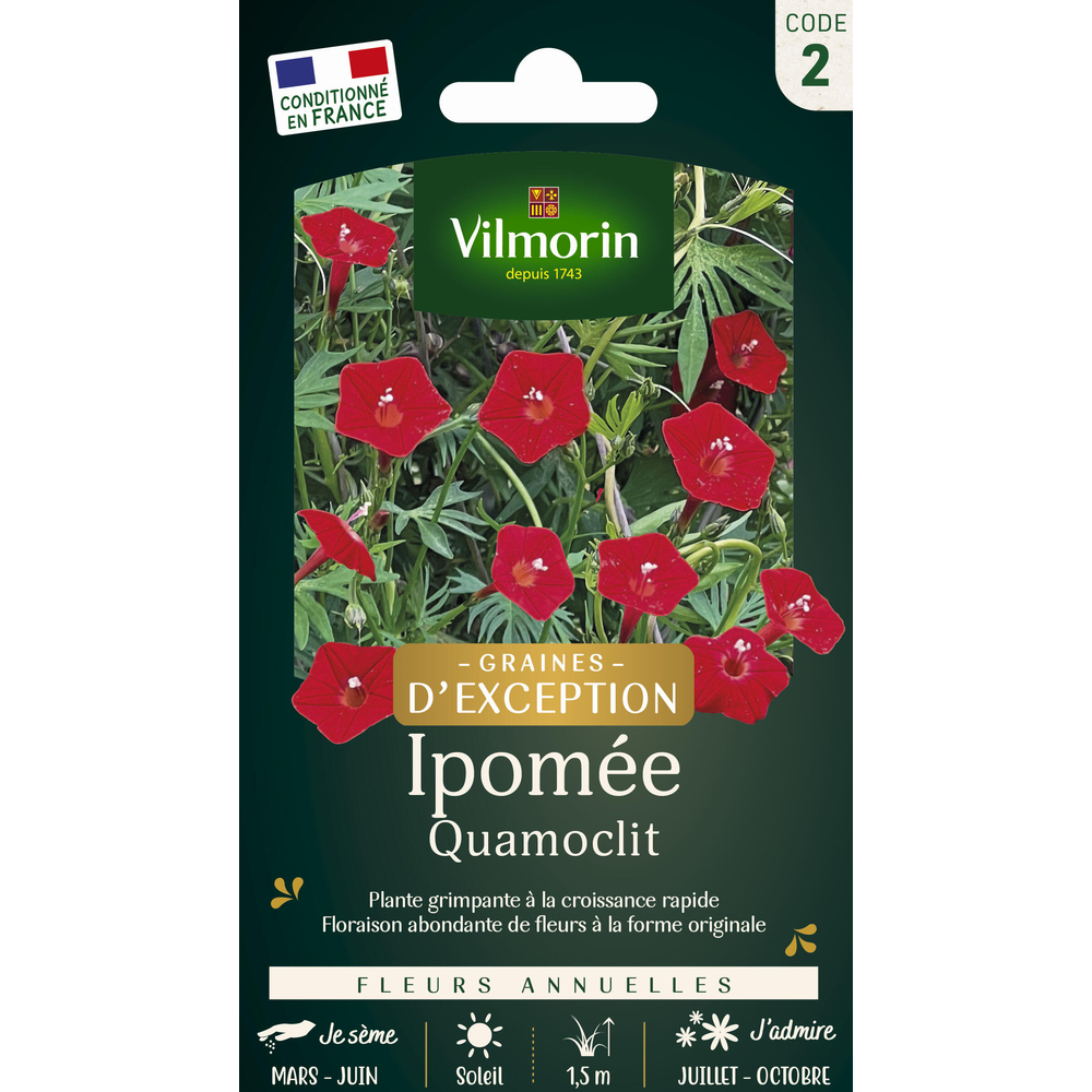 Ipomée Quamoclite : en sachet