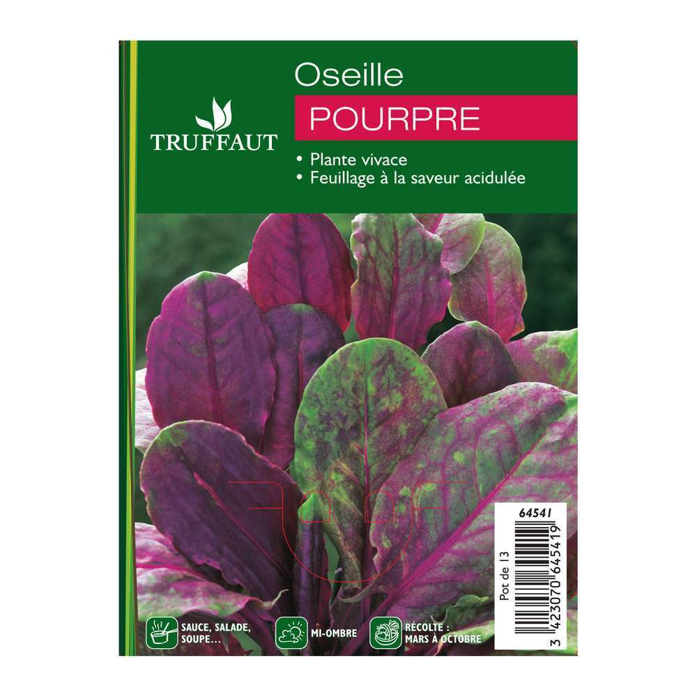 Pot oseille rouge : 1L
