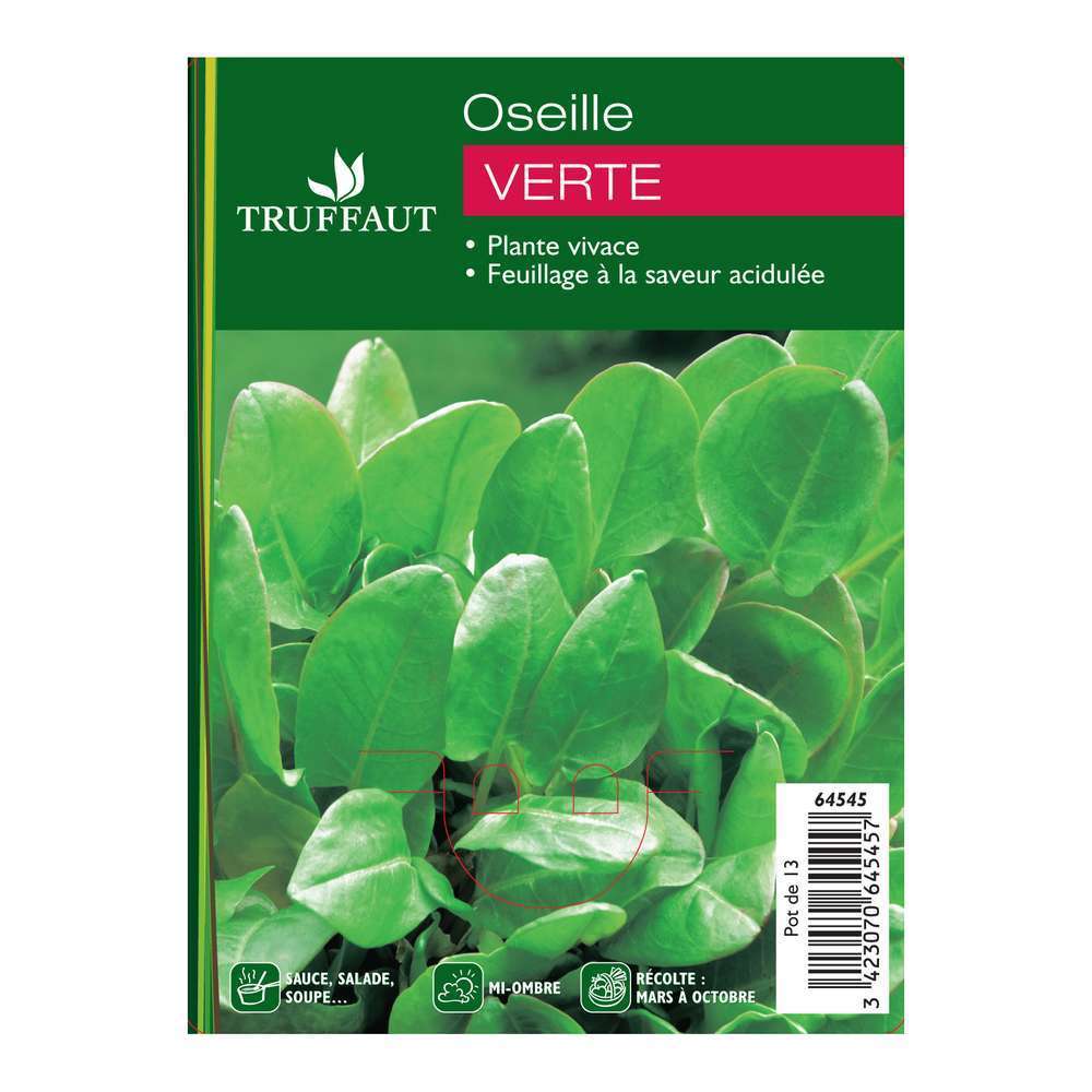 Pot oseille verte : 1L