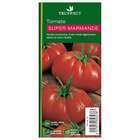 Plant de tomate 'Super Marmande' : pot de 0,5 litre