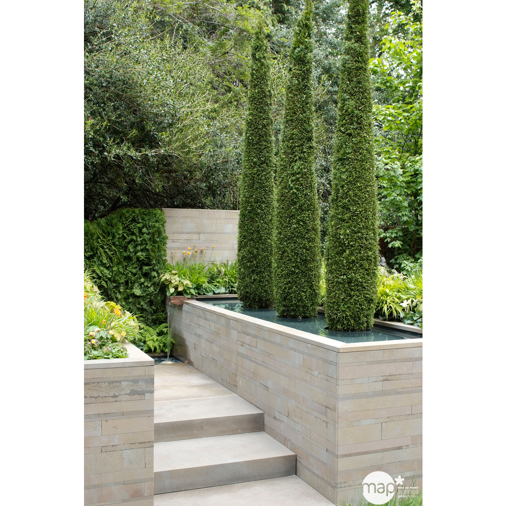 Thuya occidentalis Emeraude H : 100/125 cm, ctr 10L