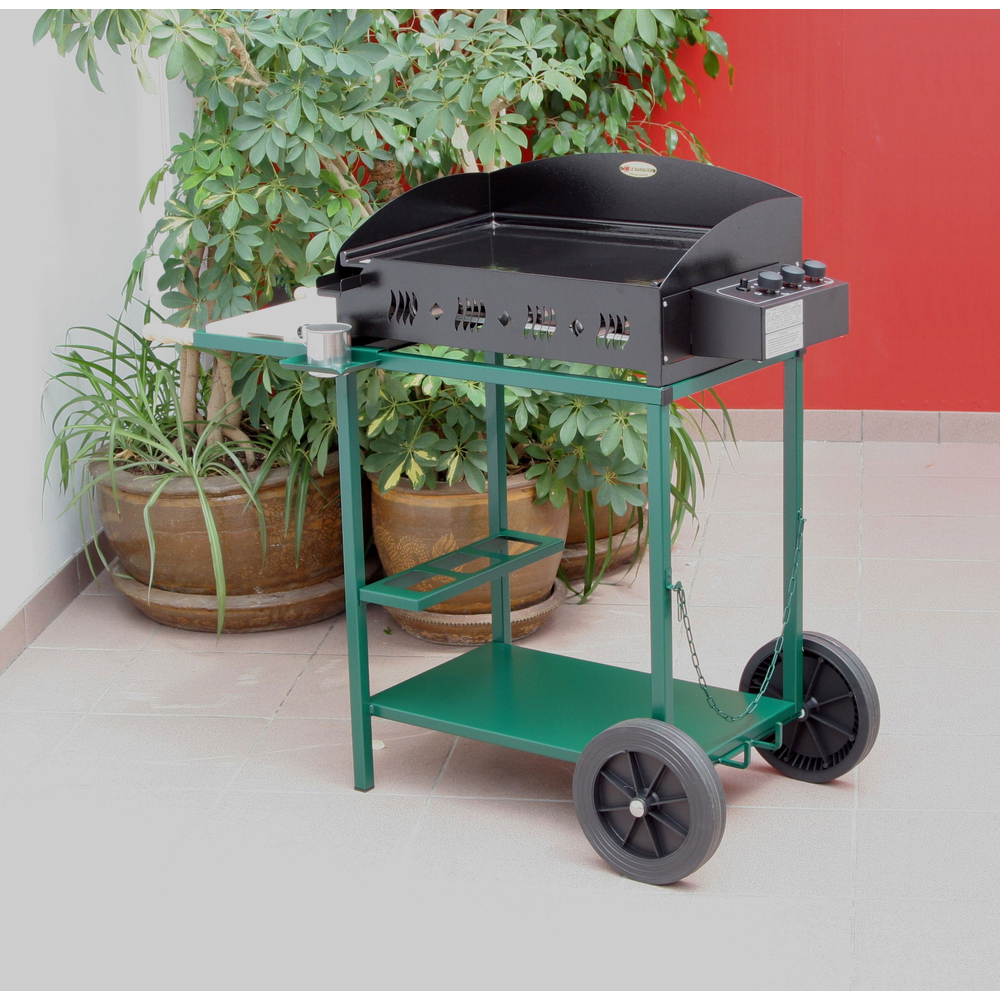 Aucuba japonica ' Crotonifolia ': hauteur 60/80 cm conteneur 10 litres