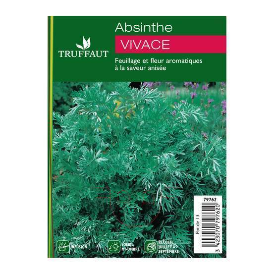 Pot absinthe vivace : 1L