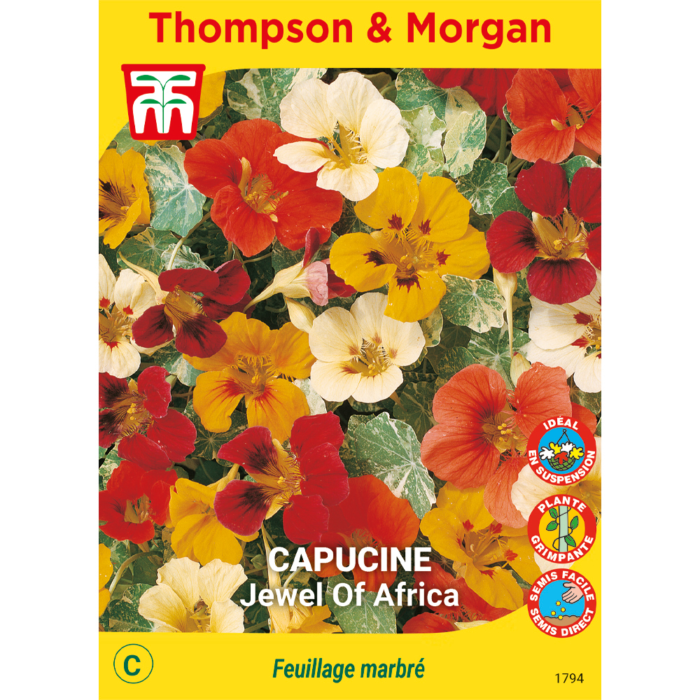 Graines de fleur: centauree classic fantastic 0.80 grammes