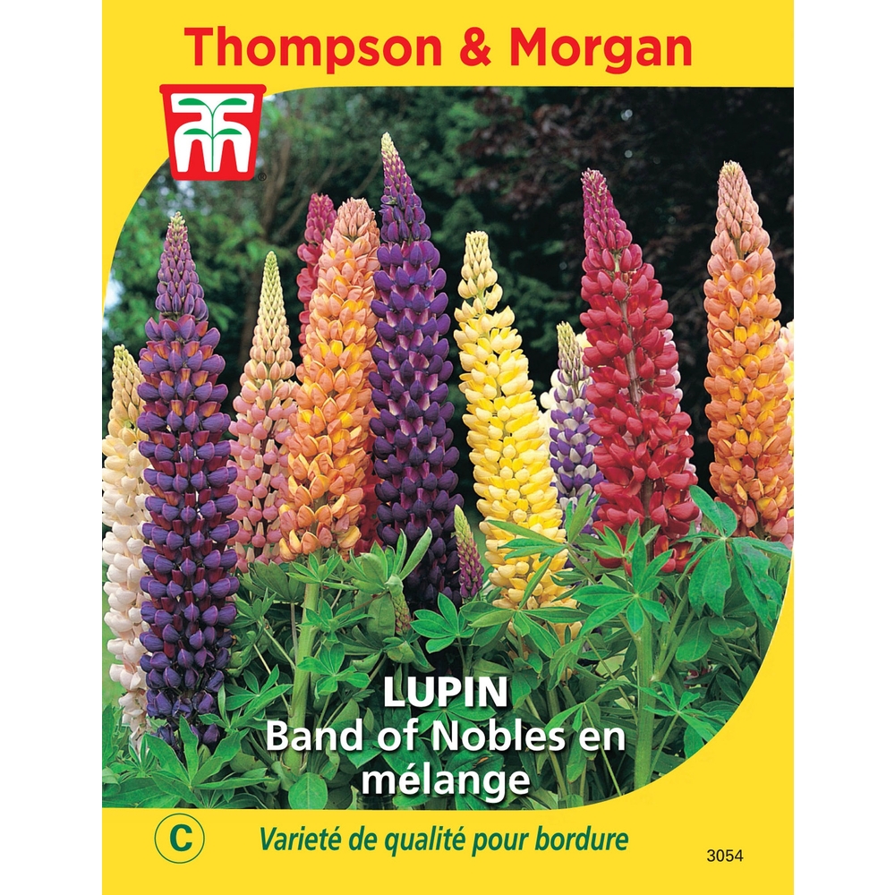 Lupin band of nobles en mél.