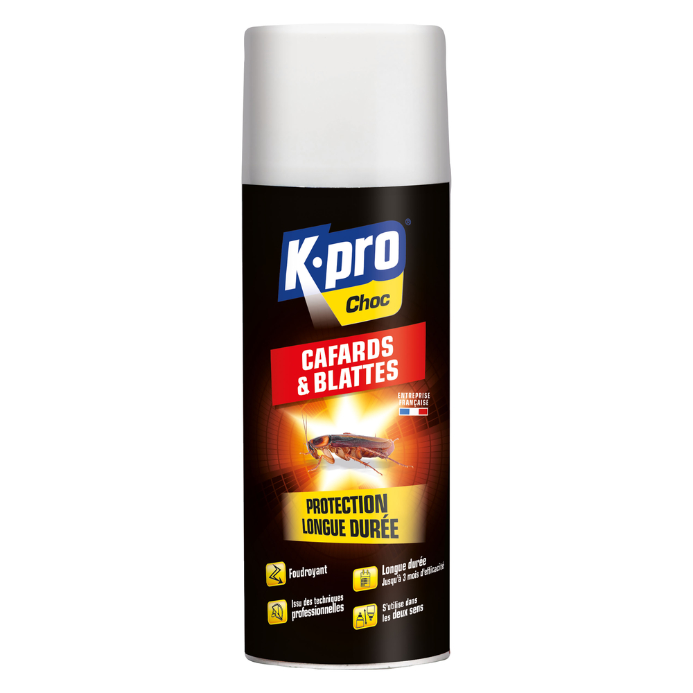 AÃ©rosol foudroyant cafards et blattes:400ml