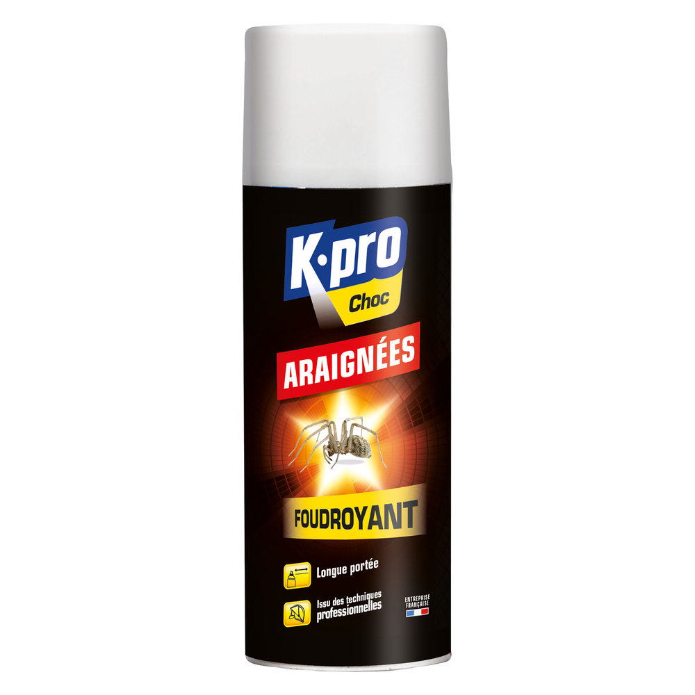 Aérosol foudroyant araignées 400ML