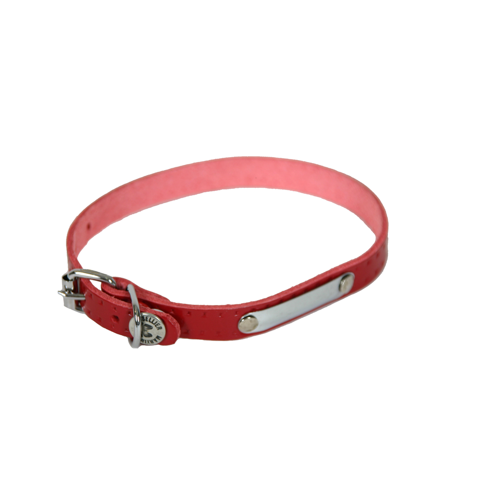 Collier pour chiens Rive 30/65 rouge