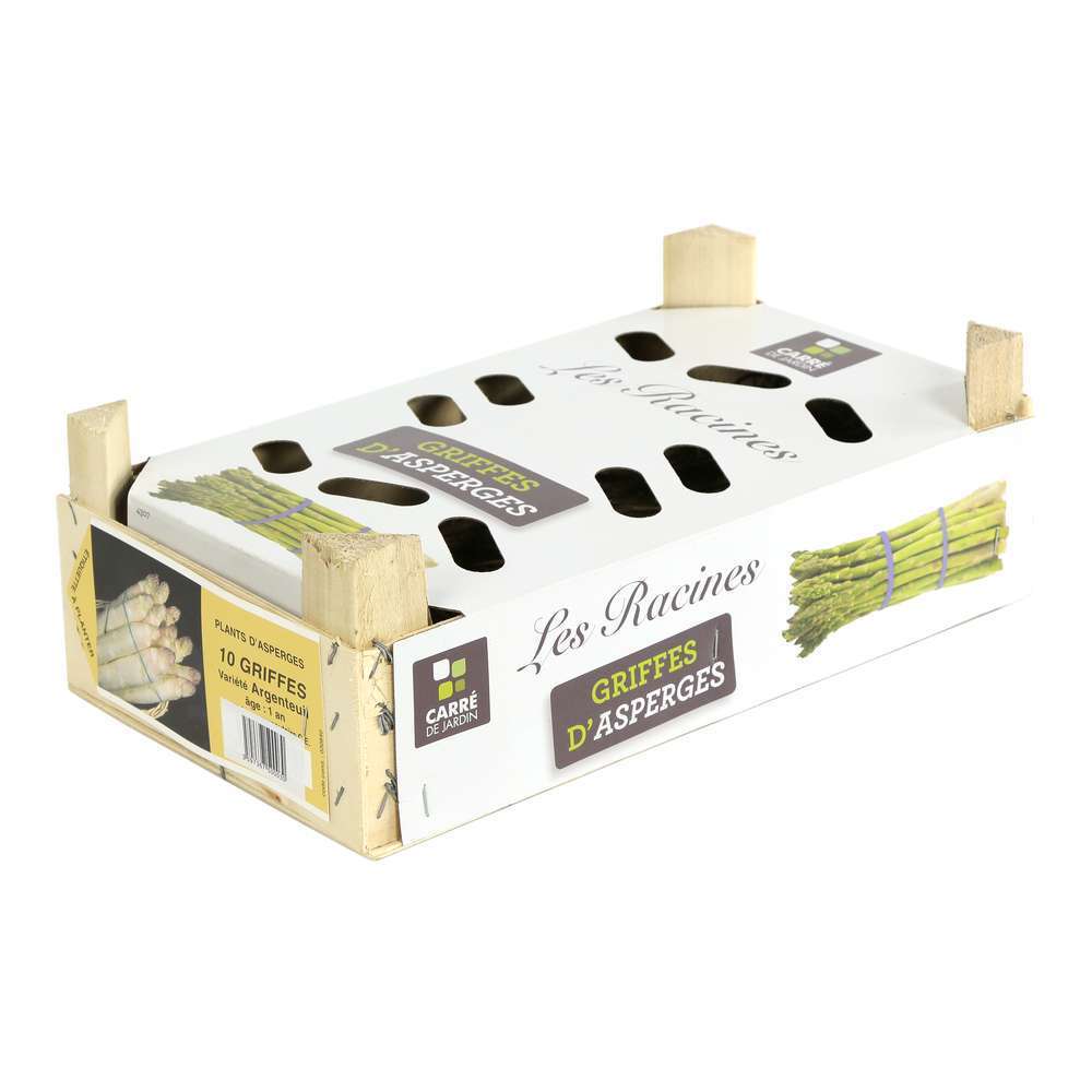 Asperge argenteuil Clayette 10 griffes