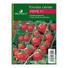 Plants de tomates cerises 'Pépé' F1 : barquette de 6 plants